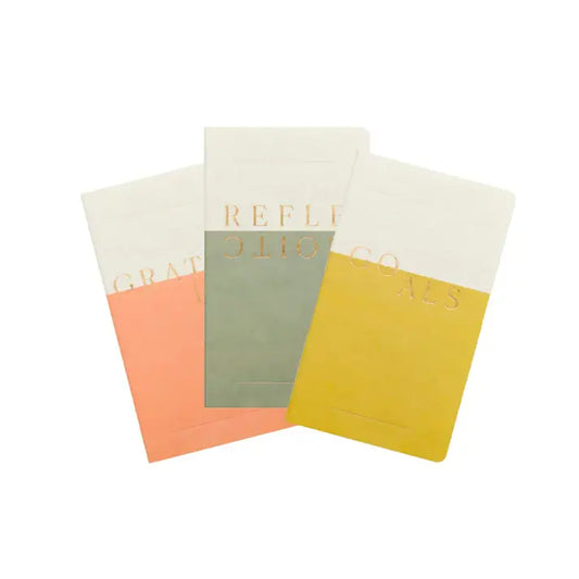 Set of 3 Single Flex Undated Planners - Wellness (Reflections, Goals, Gratitude) - Reinvent Your Hustle
